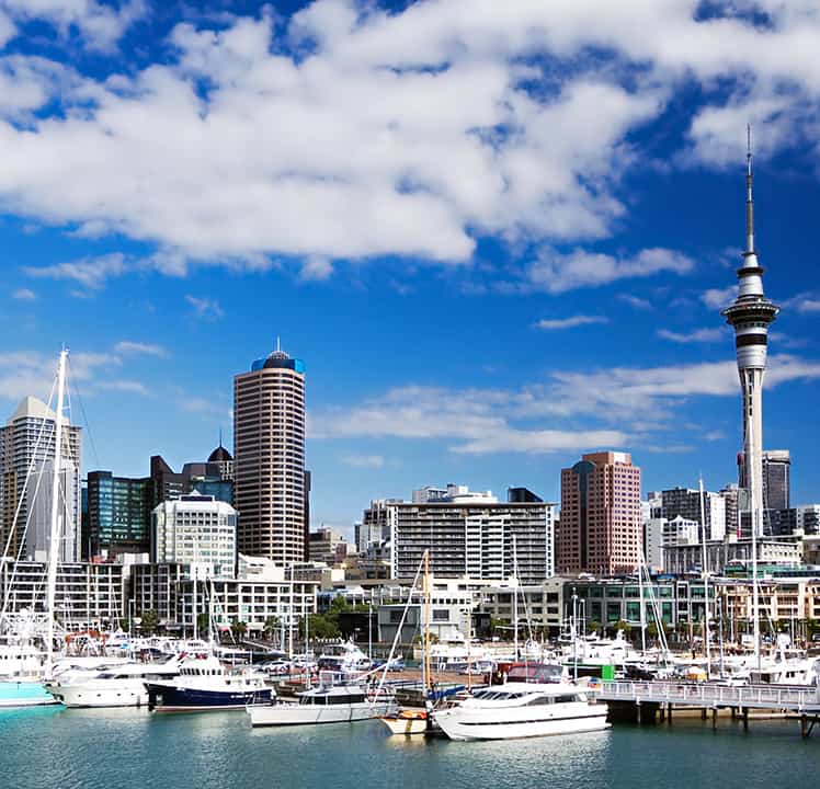 CFR-Rinkens_Car-Shipping-New_Zealand